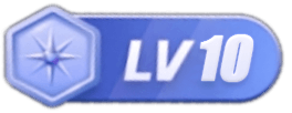 等级-LV10-X